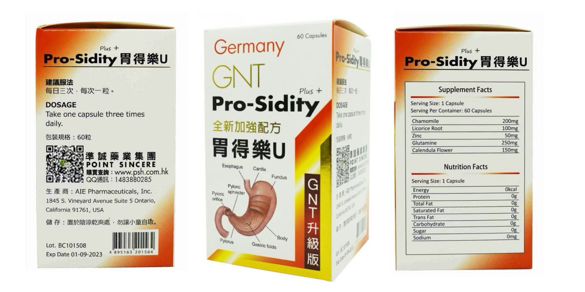 GNT胃得樂U60粒：專為現代人腸胃問題設計的修復神器